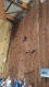 VideoCapture_20250602-171932