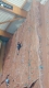 Videoshot_20250602_165724