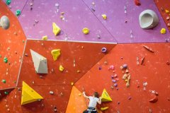 17309937_10154459996612057_6847603720196052471_o