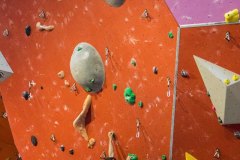 17359361_10154460002662057_126971132798705928_o