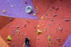 17389104_10154460088472057_4882604832816821888_o