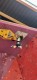 IMG-20240317-WA0030