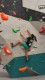 IMG-20230108-WA0009