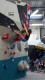 IMG-20230108-WA0018