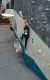 IMG-20230108-WA0022