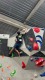 IMG-20230108-WA0113