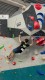 IMG-20230108-WA0115