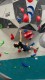 IMG-20230108-WA0116