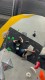 IMG-20230108-WA0134