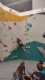 IMG-20230108-WA0159
