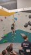 IMG-20230108-WA0160
