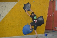 thumbnail_DSC_0265 - Copie