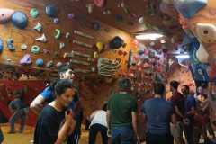 eb543ca1-9da4-455a-b8d6-d84c042ed182