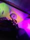 IMG-20191222-WA0012