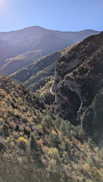 PXL_20251109_094823452.MP_exported_1120