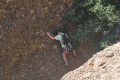2026-06-20_11-41-10
