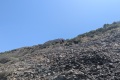 2026-06-20_14-55-05