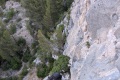 2026-06-21_07-11-06
