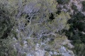 2026-06-21_08-35-26