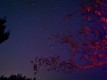 IMG_20221126_225411