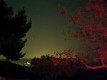 IMG_20221126_225846