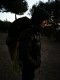 IMG_20221127_071102