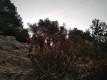 IMG_20221127_073618