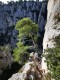 IMG_20221127_1046241