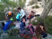 IMG_20221127_164523