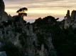 IMG_20221127_165337
