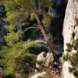 IMG_20221127_104611