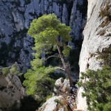 IMG_20221127_1046241
