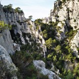 IMG_20221127_110636