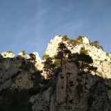 IMG_20221127_115306