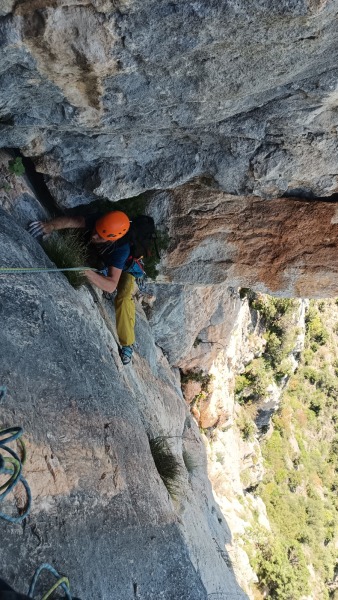 IMG_20250501_123839_796