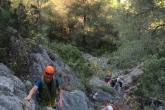 IMG_20250501_092730_622