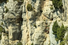 IMG_20250501_144720_232