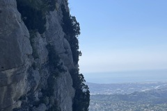 IMG_7907