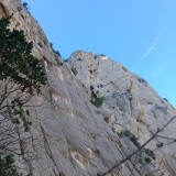 IMG_20231126_111838