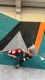IMG-20230128-WA0001