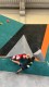 IMG-20230128-WA0002