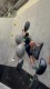 IMG-20230128-WA0007