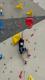 IMG-20250419-WA0002
