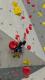 IMG-20250419-WA0003
