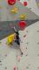 IMG-20250419-WA0004