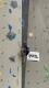 IMG-20250419-WA0008