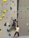 IMG-20250419-WA0009