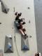 IMG-20250420-WA0017