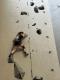 IMG-20250420-WA0021