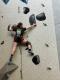 IMG-20250420-WA0026